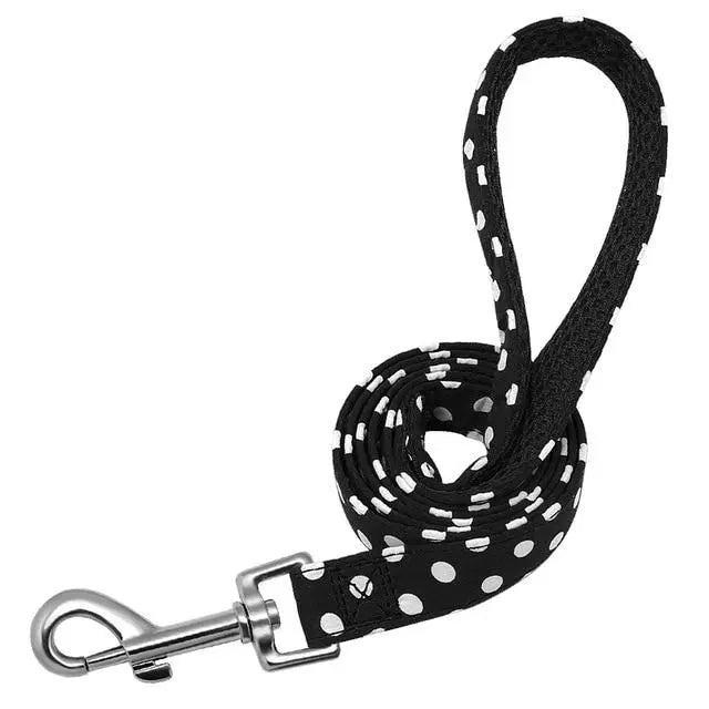 Fashion and Colorful Strong Dog Leads Yesy All Goods