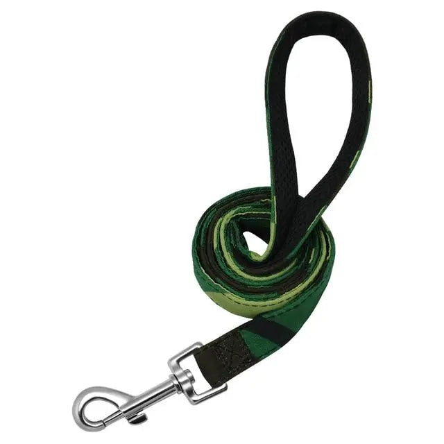 Fashion and Colorful Strong Dog Leads Yesy All Goods