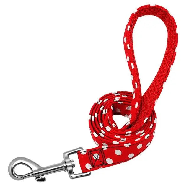 Fashion and Colorful Strong Dog Leads Yesy All Goods