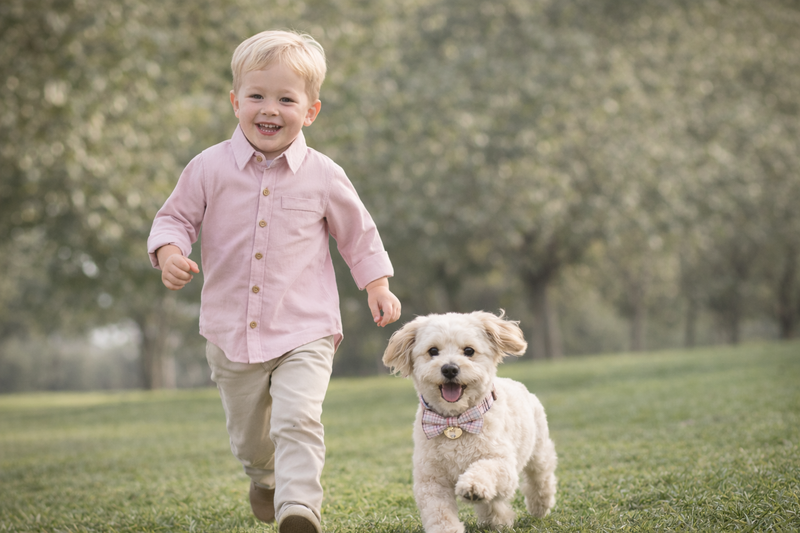 Matching Kids & Dog Accessories in Australia: The Cutest Way to Dress the Whole Family (And Make Life Easier)