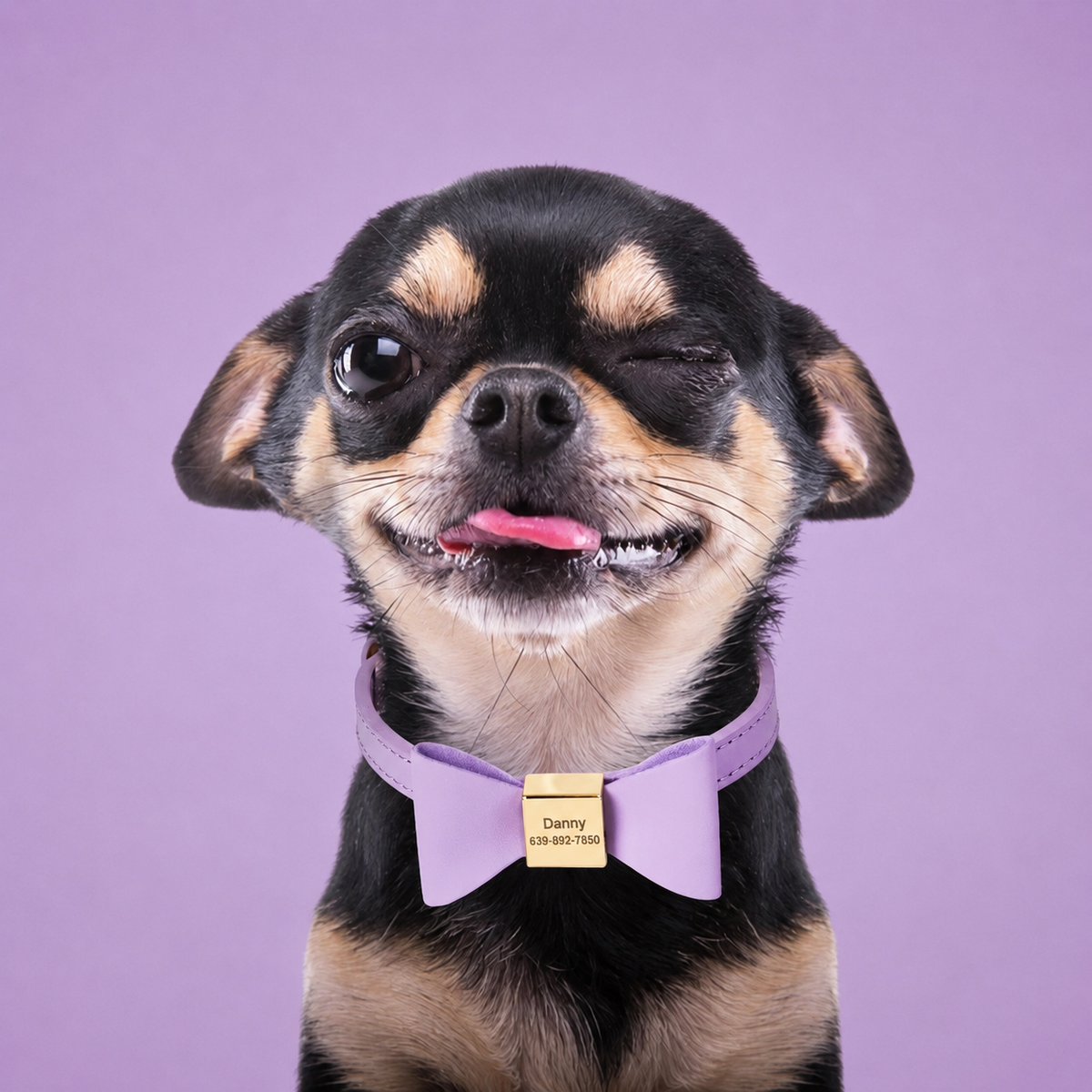 Doggies-New-Arrivals YAG Boutique