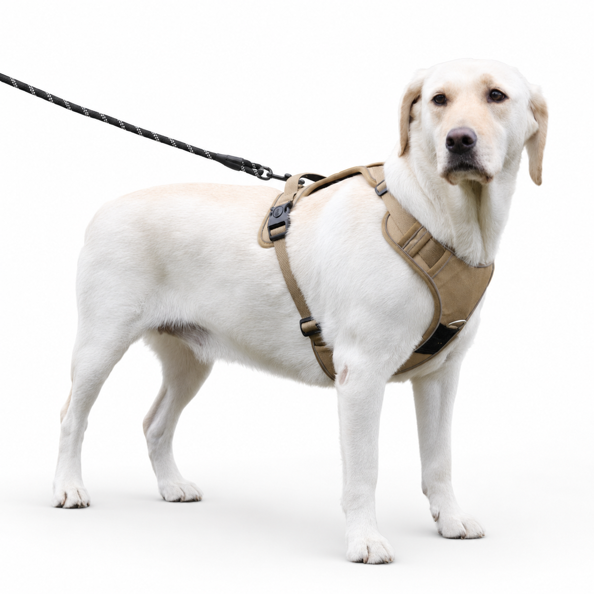 ActivePro No-Pull Reflective Dog Harness  pet accessories YAG Boutique