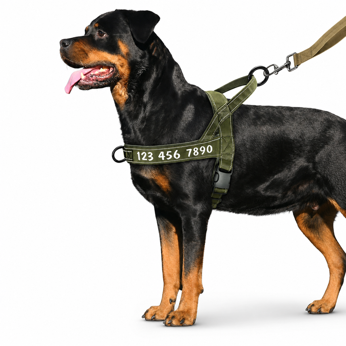 Aussie Guard Personalized No-Pull Dog Harness  pet accessories YAG Boutique