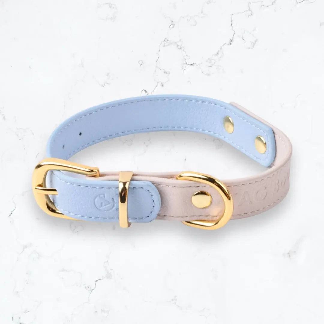 Dual Macaron Colour Dog/Cat Collar YAG Boutique
