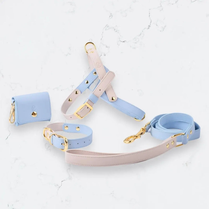 Dual Macaron Colour Dog/Cat Collar YAG Boutique