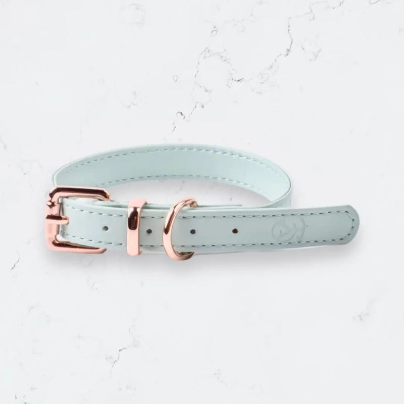Macaron Colour Dog/Cat Collar YAG Boutique