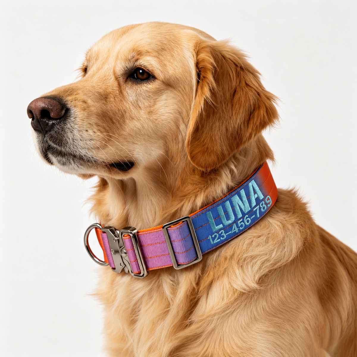 Custom Embroidered Nylon Dog Collar with Heavy-Duty Quick Release Metal Buckle  pet accessories YAG Boutique
