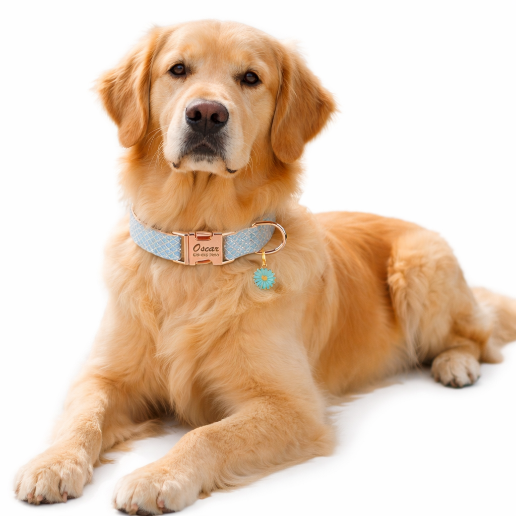 Personalised Floral Dog Collar with Name Tag  pet accessories YAG Boutique