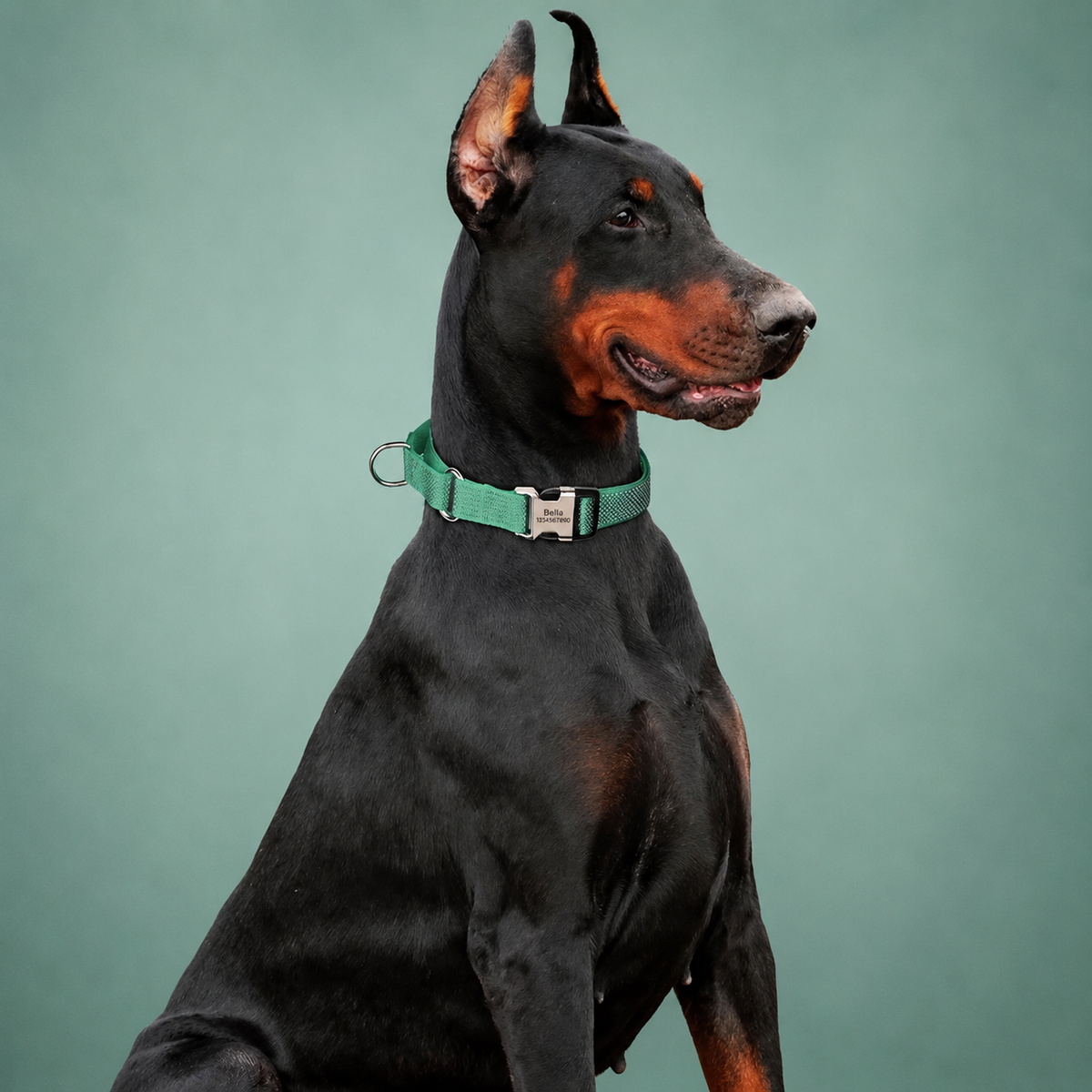 Custom Reflective Martingale Dog Collar  pet accessories YAG Boutique