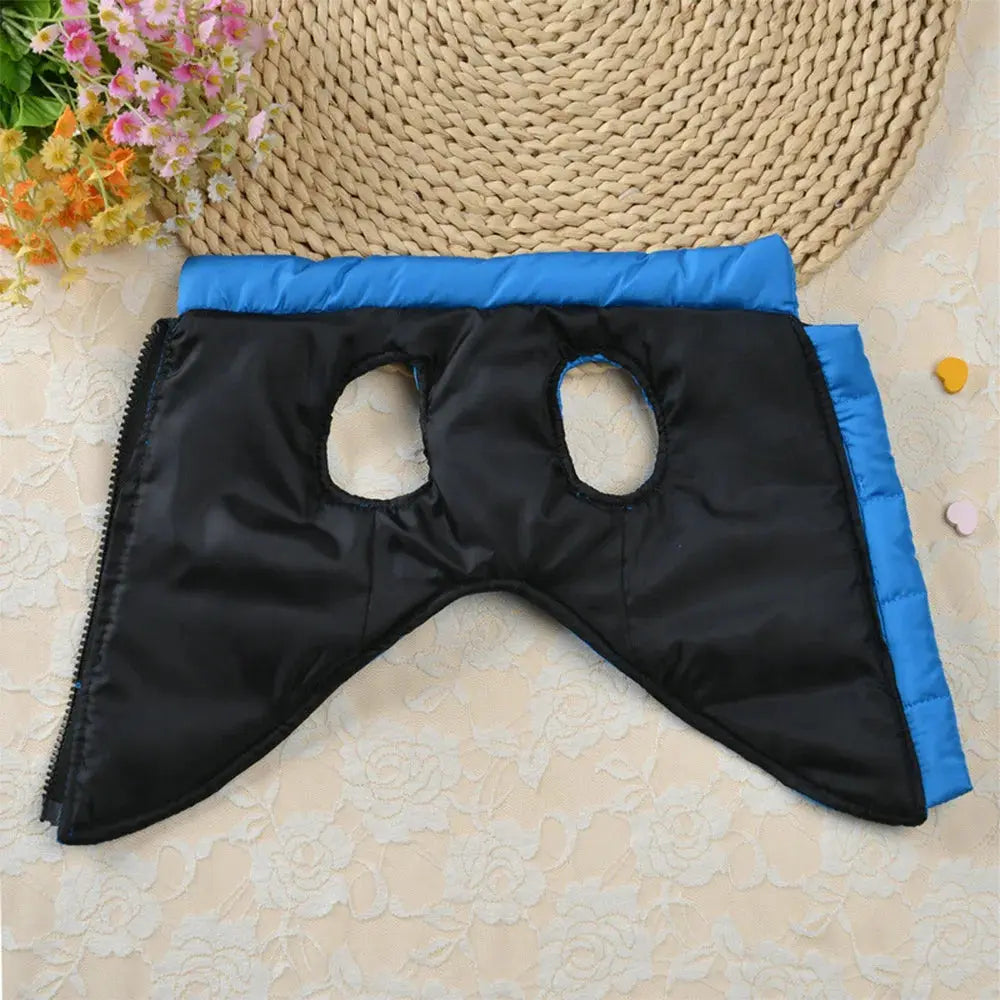 Daily Warmer Dog Vest   YAG Boutique