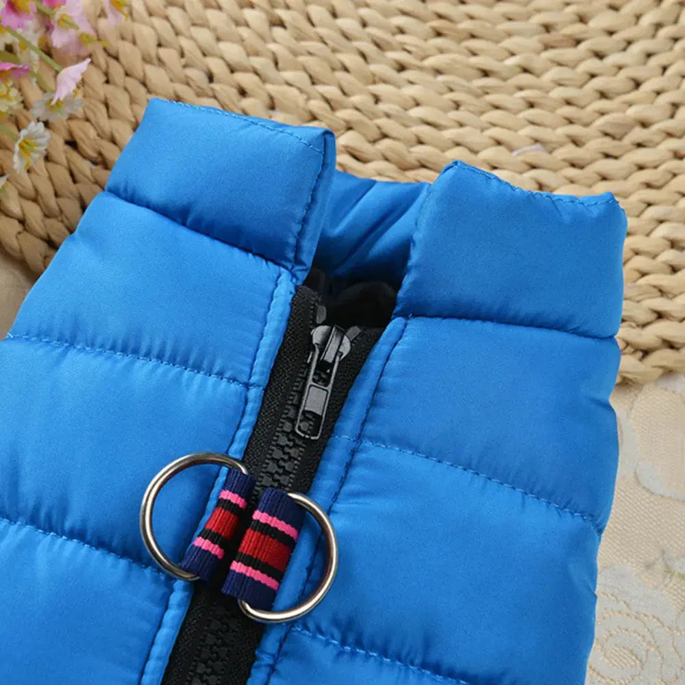Daily Warmer Dog Vest   YAG Boutique