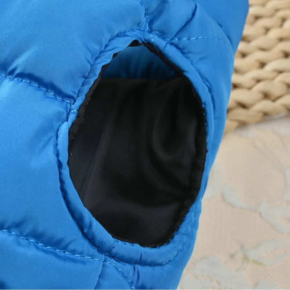 Daily Warmer Dog Vest   YAG Boutique