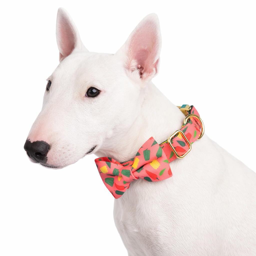 Luxury Pattern Dog Collar & Bow Tie Set  pet accessories YAG Boutique