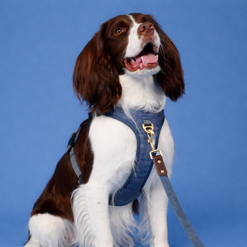 Premium No-Pull Dog Harness with Comfort PU Leather Control Handle  pet accessories YAG Boutique