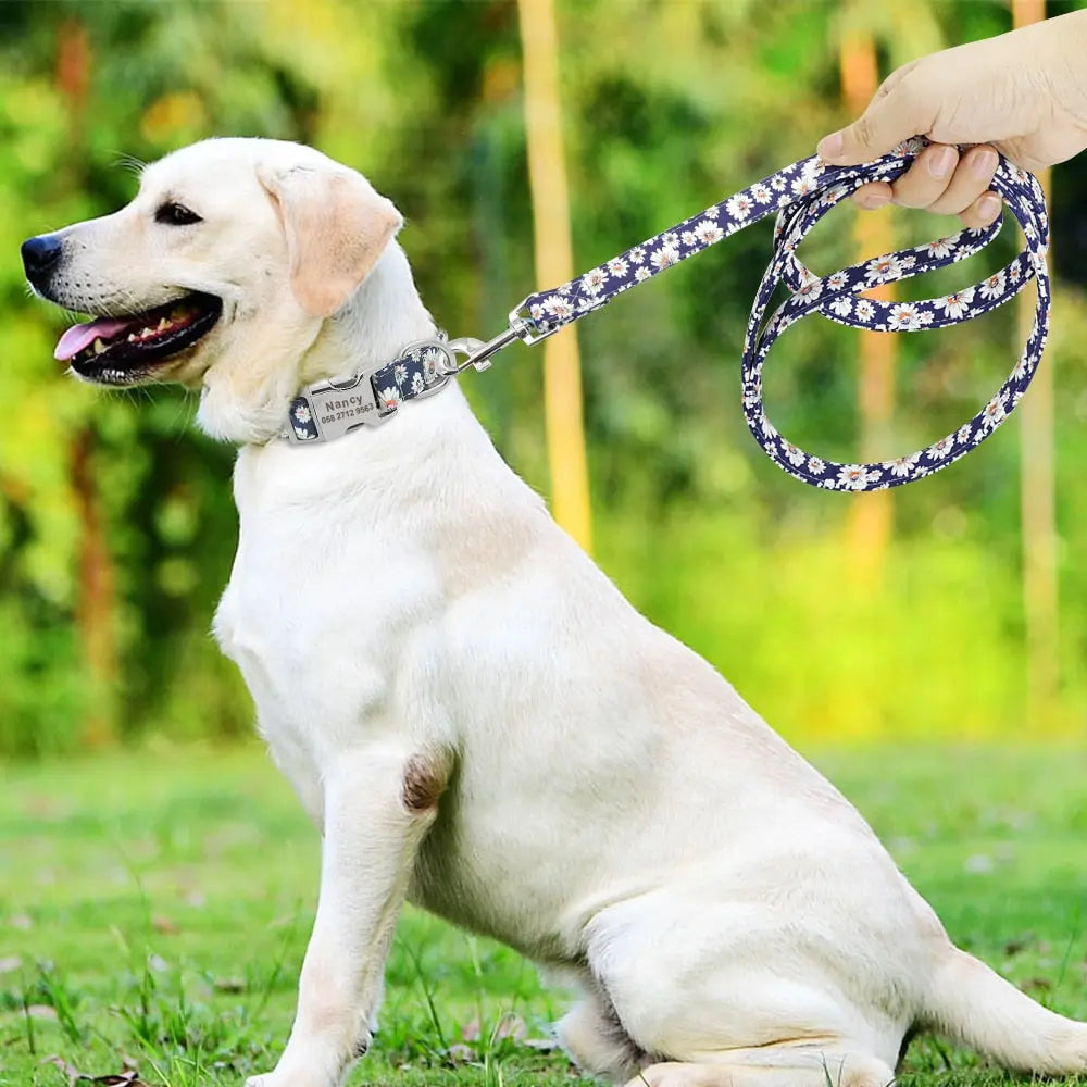 Fantastic Pattern Customized Pet Collar And Lead Set Yesy All Goods