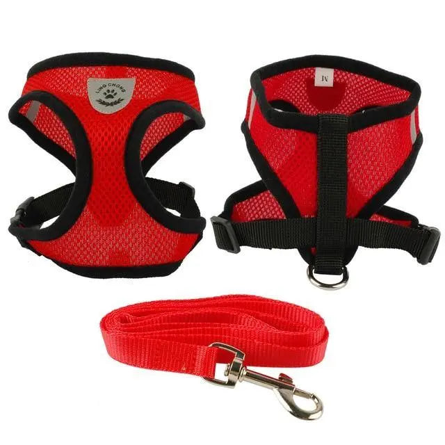 Fashion Dog Harness and Lead Combo Set Yesy All Goods