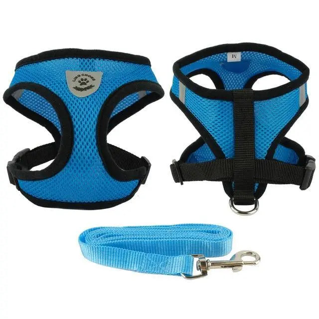 Fashion Dog Harness and Lead Combo Set Yesy All Goods