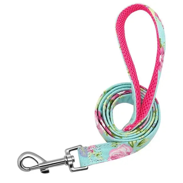 Fashion and Colorful Strong Dog Leads Yesy All Goods