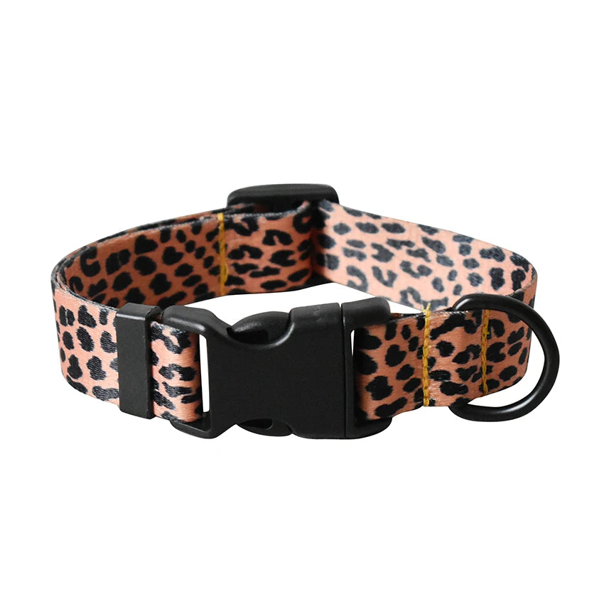 Nylon Printed Attractive Dog Collar  Pet Toys & Accessories YAG Boutique