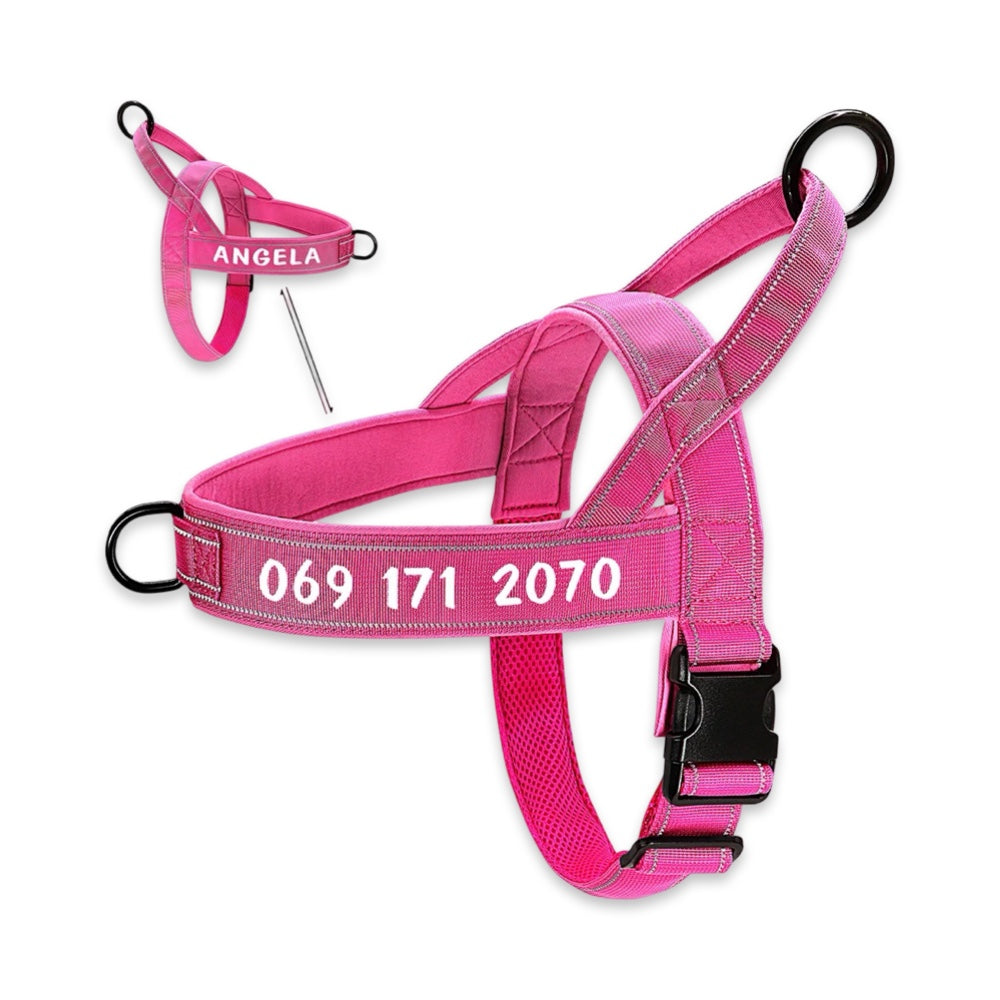 Aussie Guard Personalized No-Pull Dog Harness  pet accessories YAG Boutique