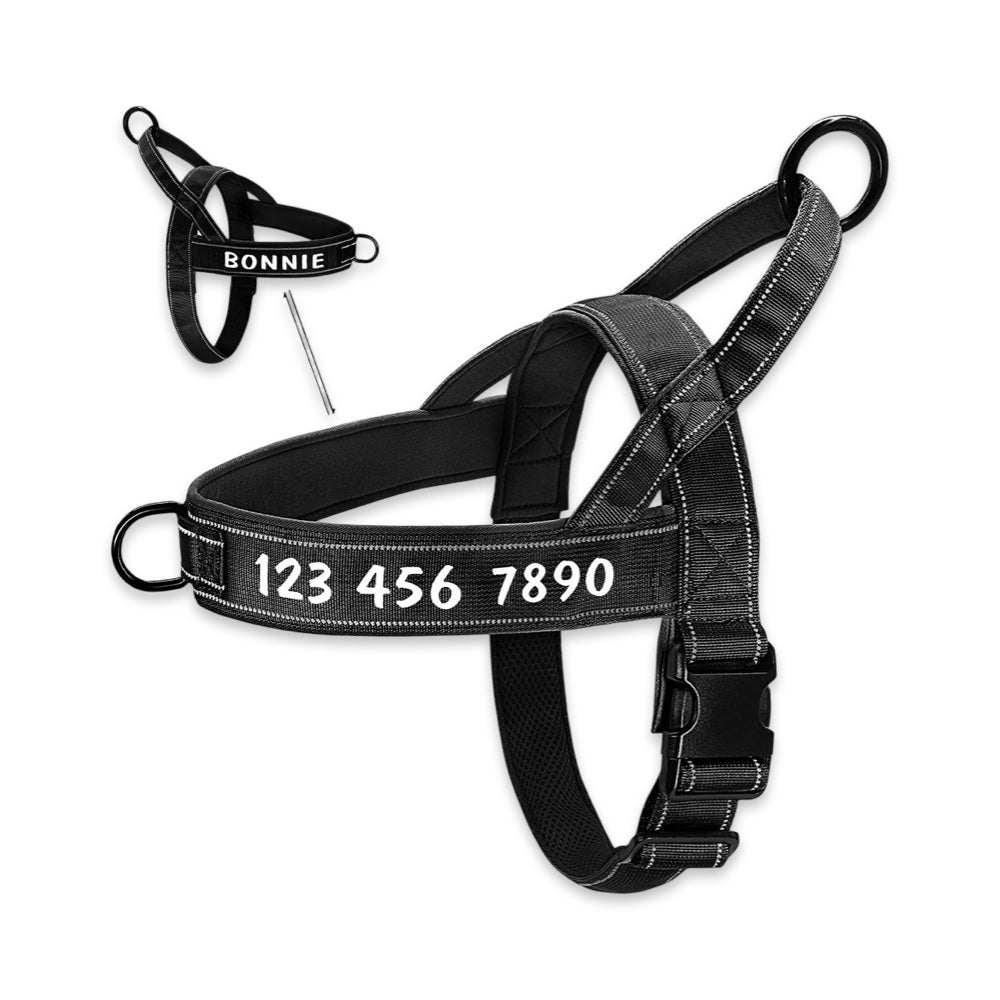 Aussie Guard Personalized No-Pull Dog Harness  pet accessories YAG Boutique