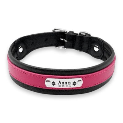 Ultra-Padded Custom Engraved Leather Dog Collar with Personalised ID Plate  pet accessories YAG Boutique