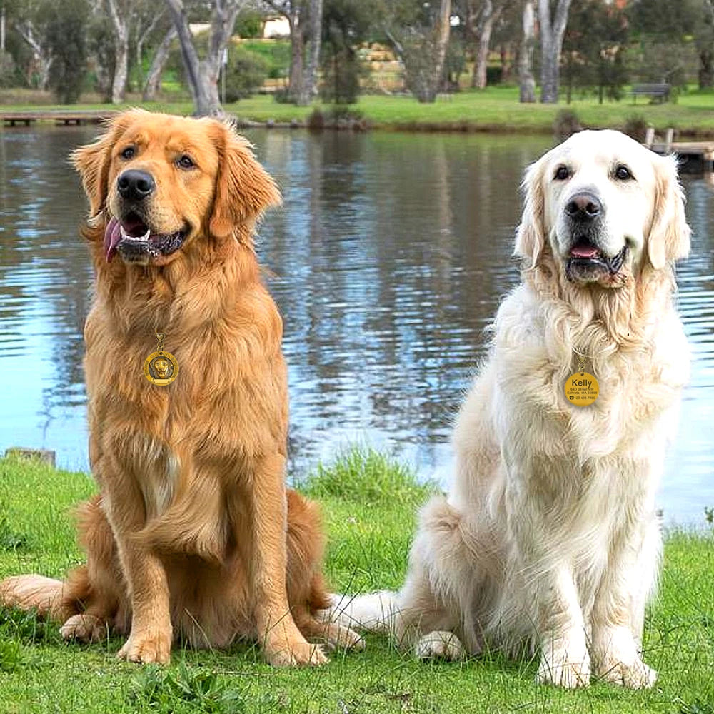 Beautiful Craft Customisable Dogs ID Tags & Nameplate  Pet Toys & Accessories YAG Boutique