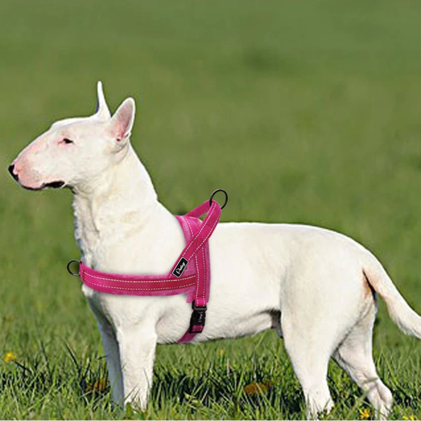 Reflective Stylish Dog Harness - Solid  Harness YAG Boutique