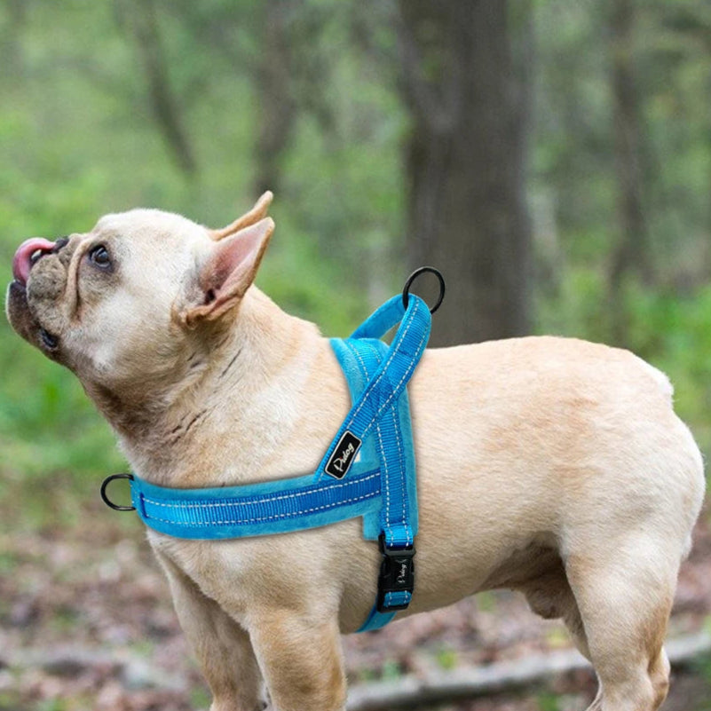 Reflective Stylish Dog Harness - Solid  Harness YAG Boutique