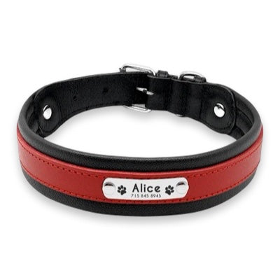 Ultra-Padded Custom Engraved Leather Dog Collar with Personalised ID Plate  pet accessories YAG Boutique