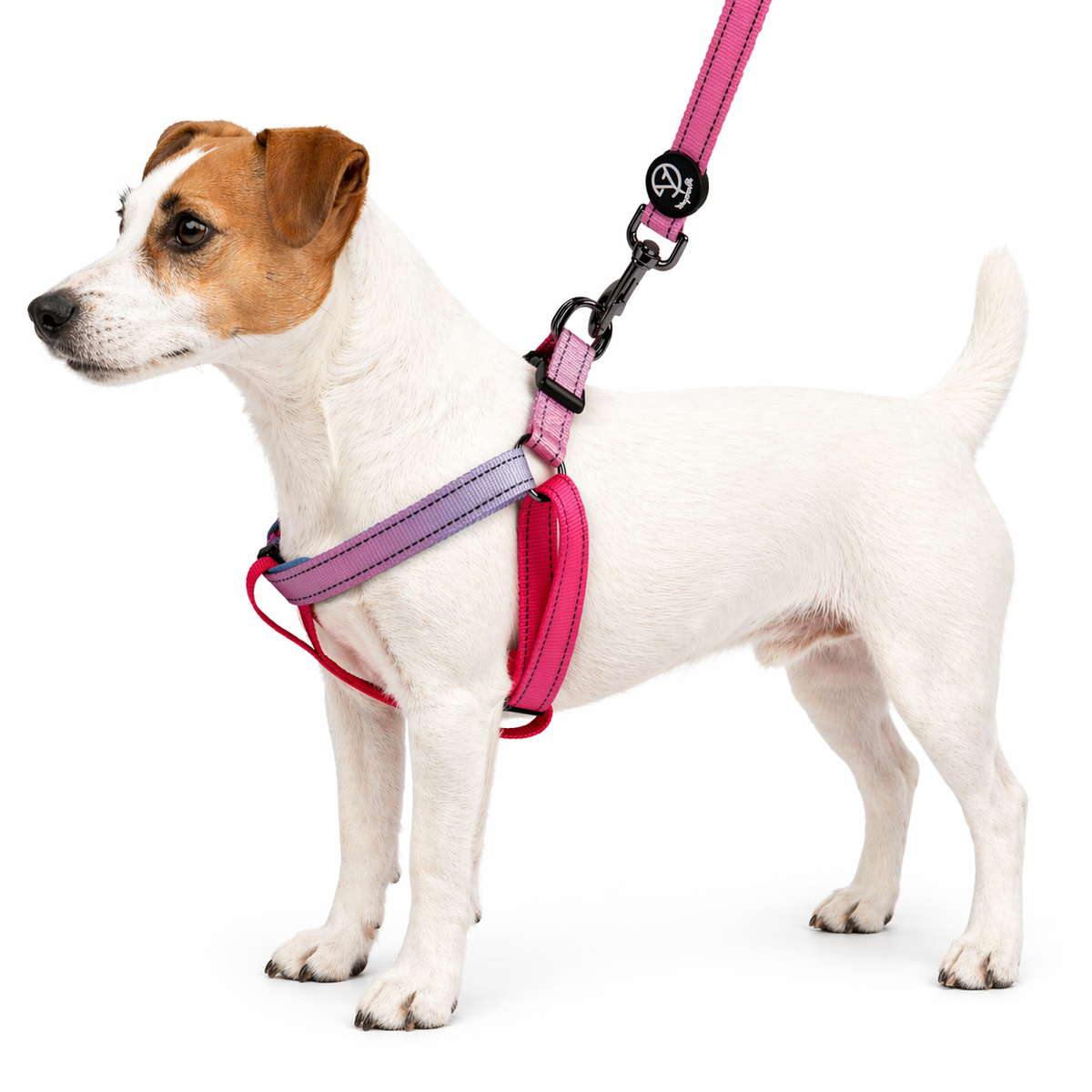 YAG Reflective Rainbow Harness & Leash Set   YAG Boutique