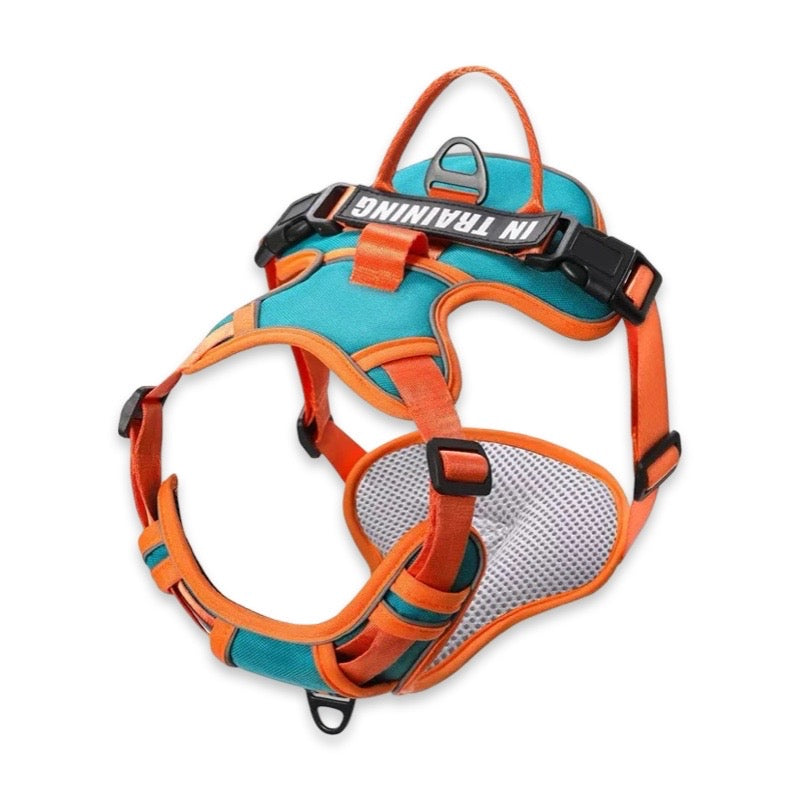 Custom Name No-Pull Dog Harness  pet accessories YAG Boutique