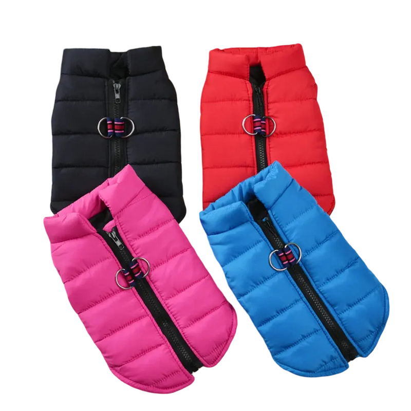 Daily Warmer Dog Vest   YAG Boutique