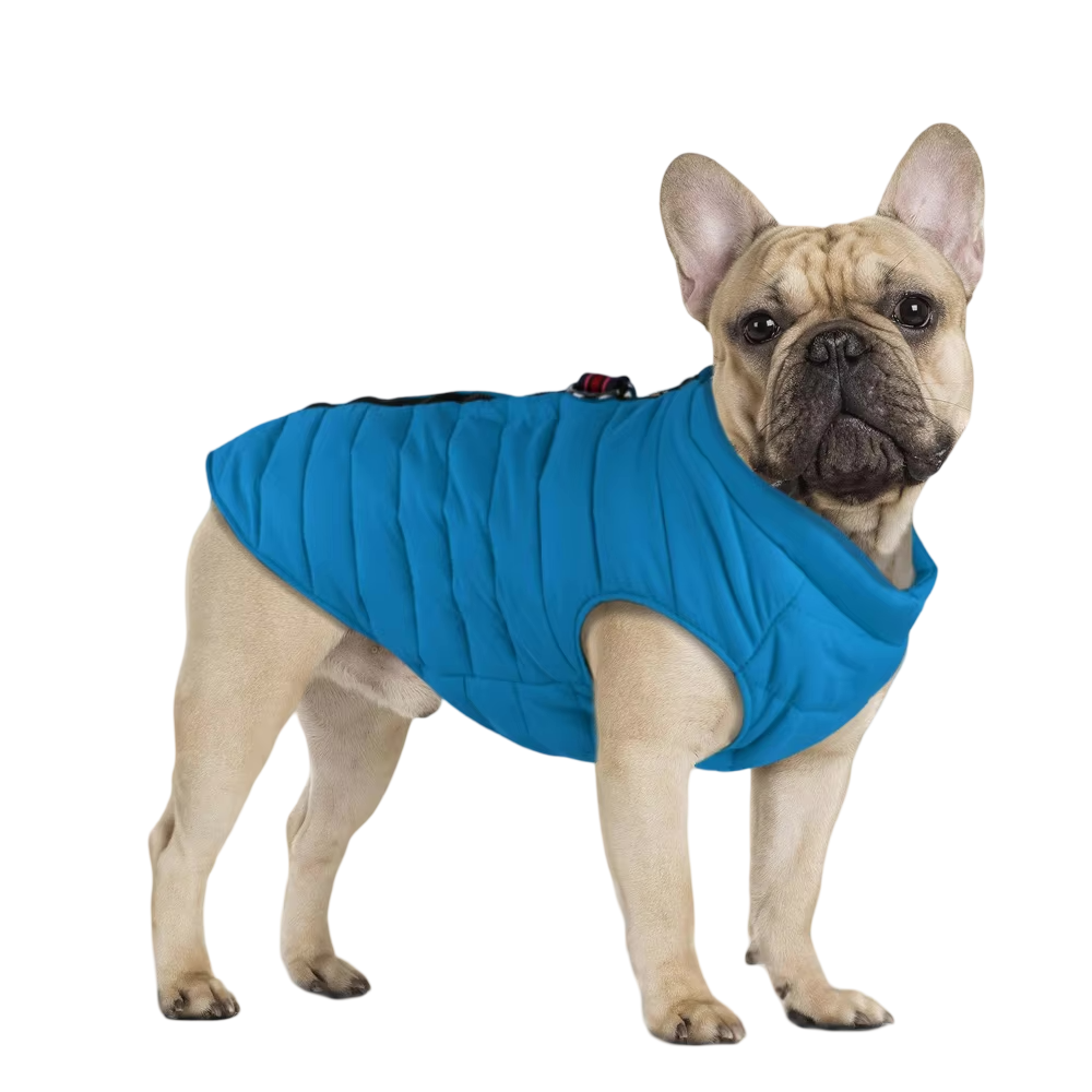 Daily Warmer Dog Vest   YAG Boutique