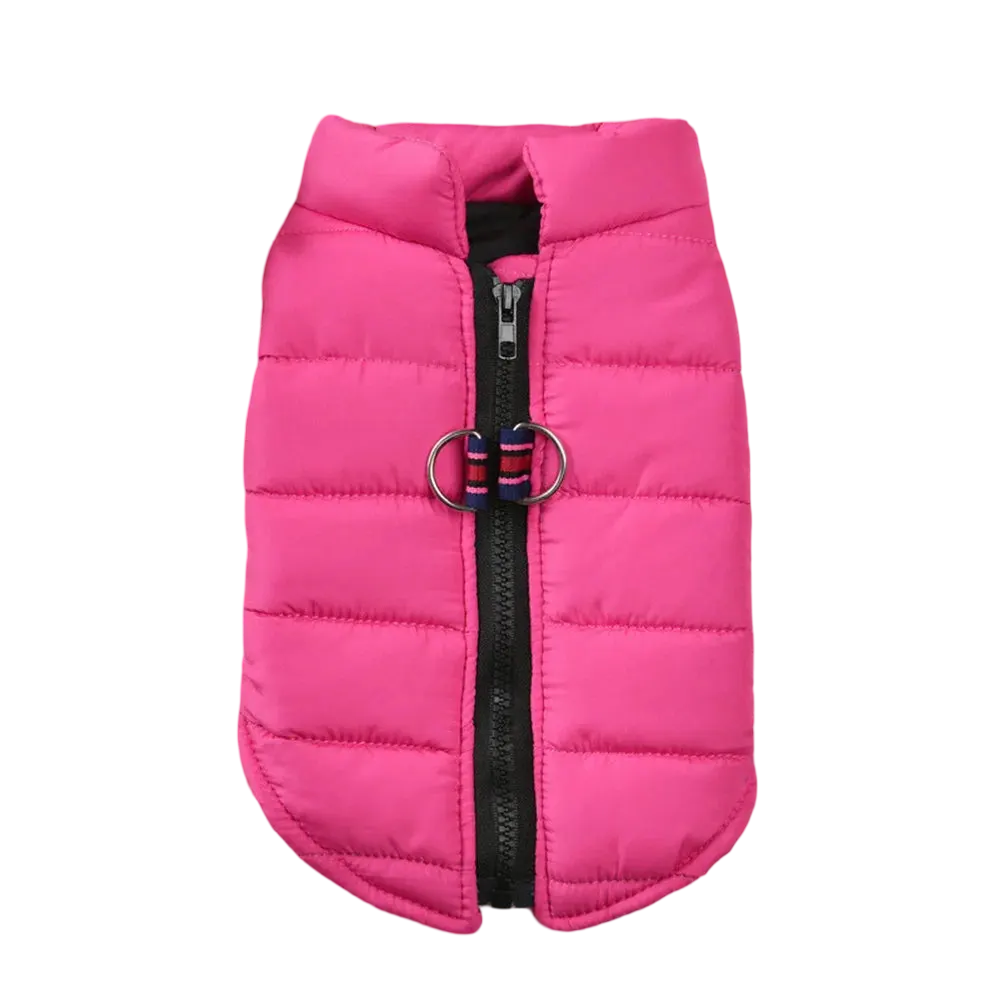 Daily Warmer Dog Vest   YAG Boutique