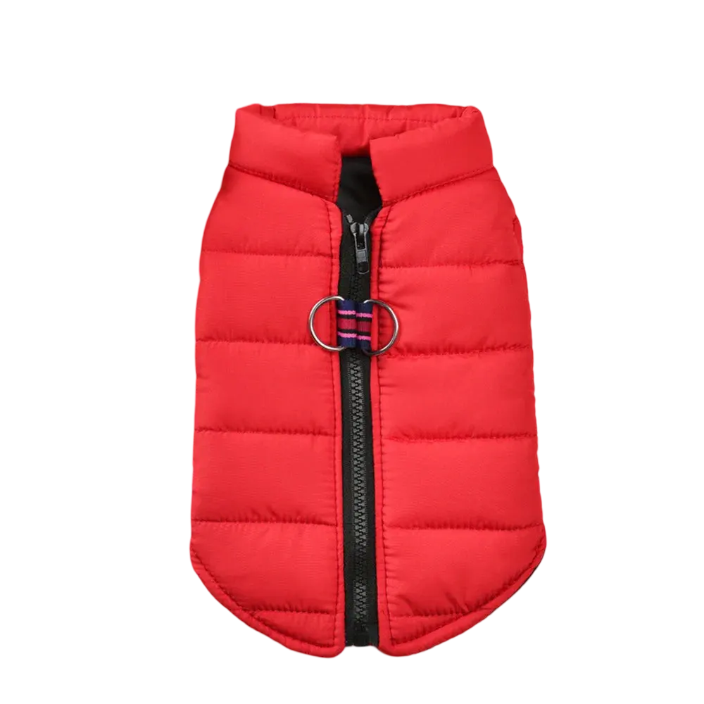 Daily Warmer Dog Vest   YAG Boutique