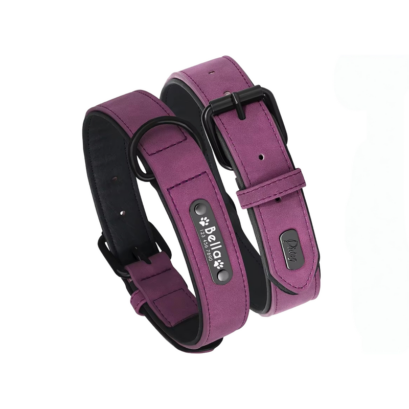 Adjustable Dog Collar & Leash - Solid Colour PU Leather Personalized  Collars Bandanas YAG Boutique