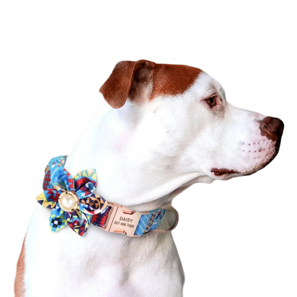 Premium Personalised Collar - Flower Ball Series  Collars Bandanas YAG Boutique