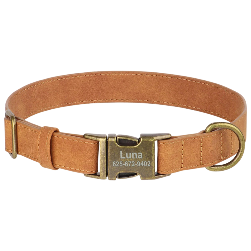 Classic PU Leather Personalised Pet Collar  pet accessories YAG Boutique
