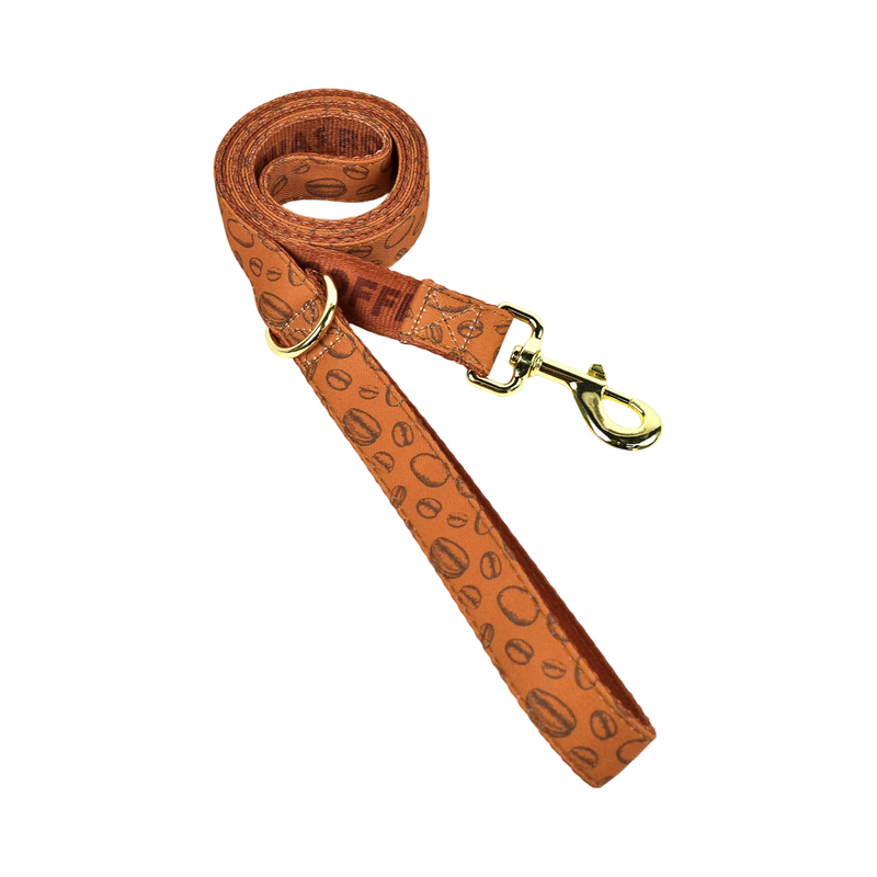 Colourful Paint Dog Leash  pet accessories YAG Boutique