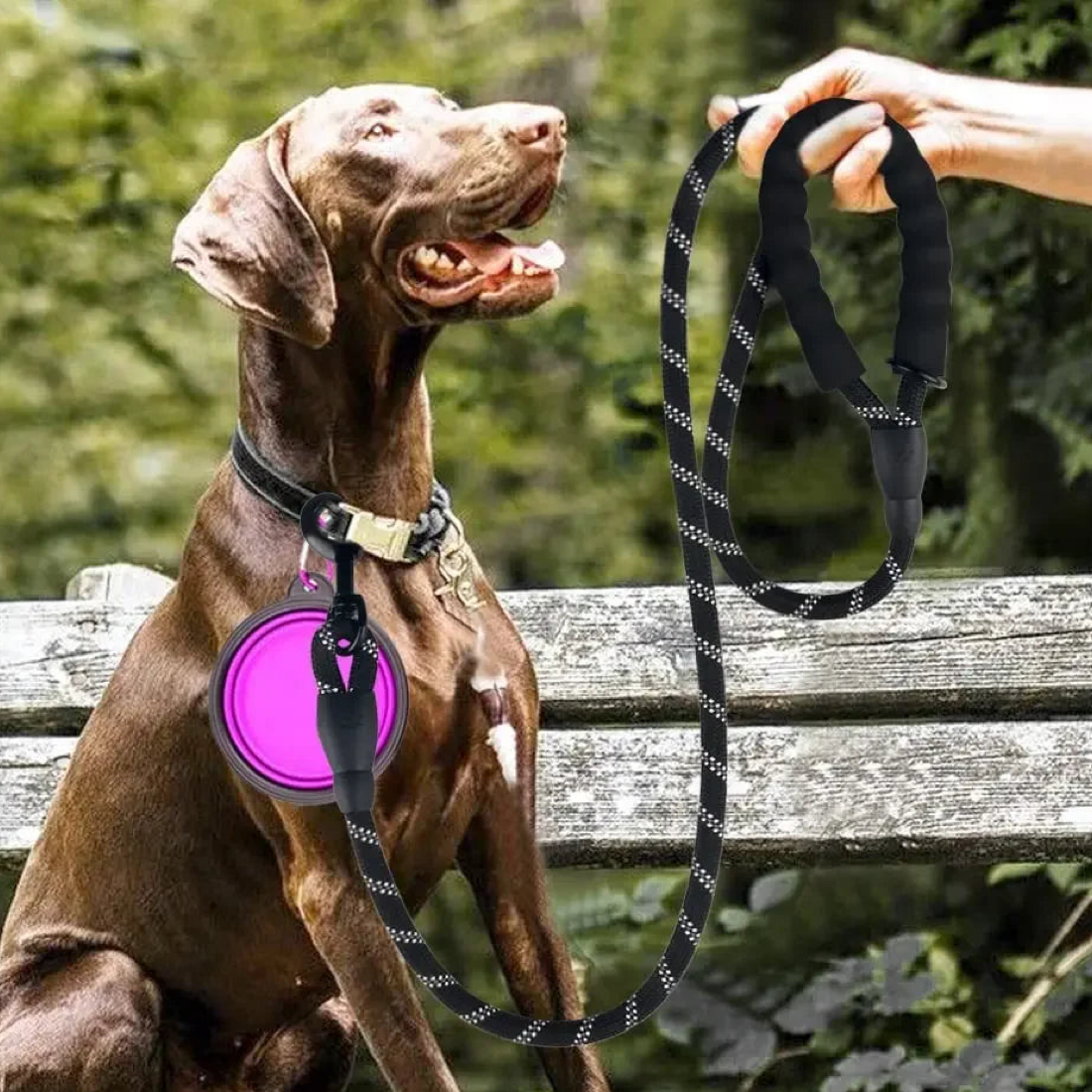 Ultimate Heavy Duty Reflective Dog Leash  pet accessories YAG Boutique