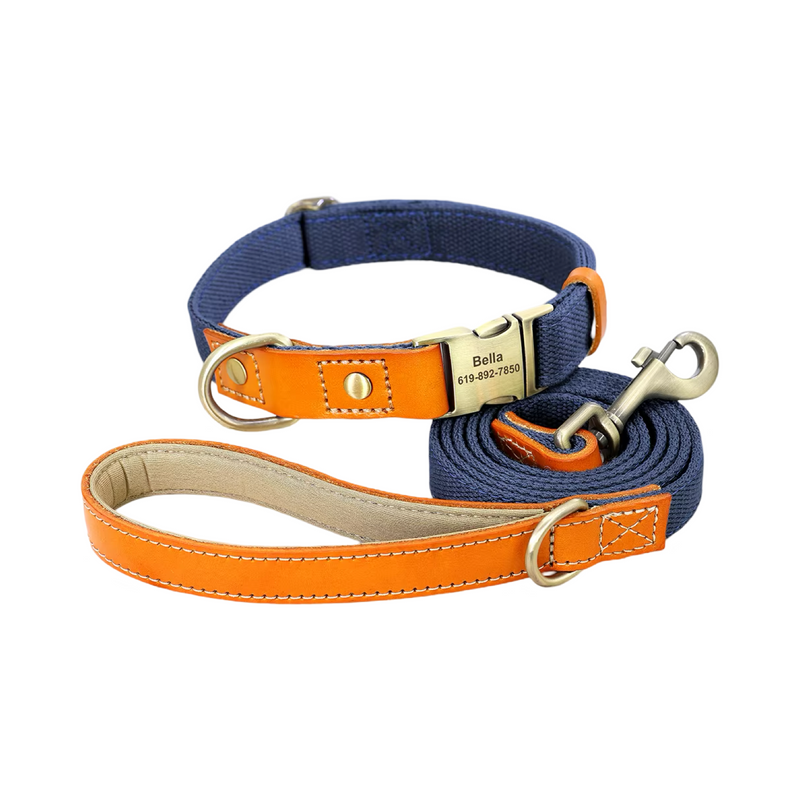 Duo Colour Personalised Dog Collor and Leash Set  pet accessories YAG Boutique