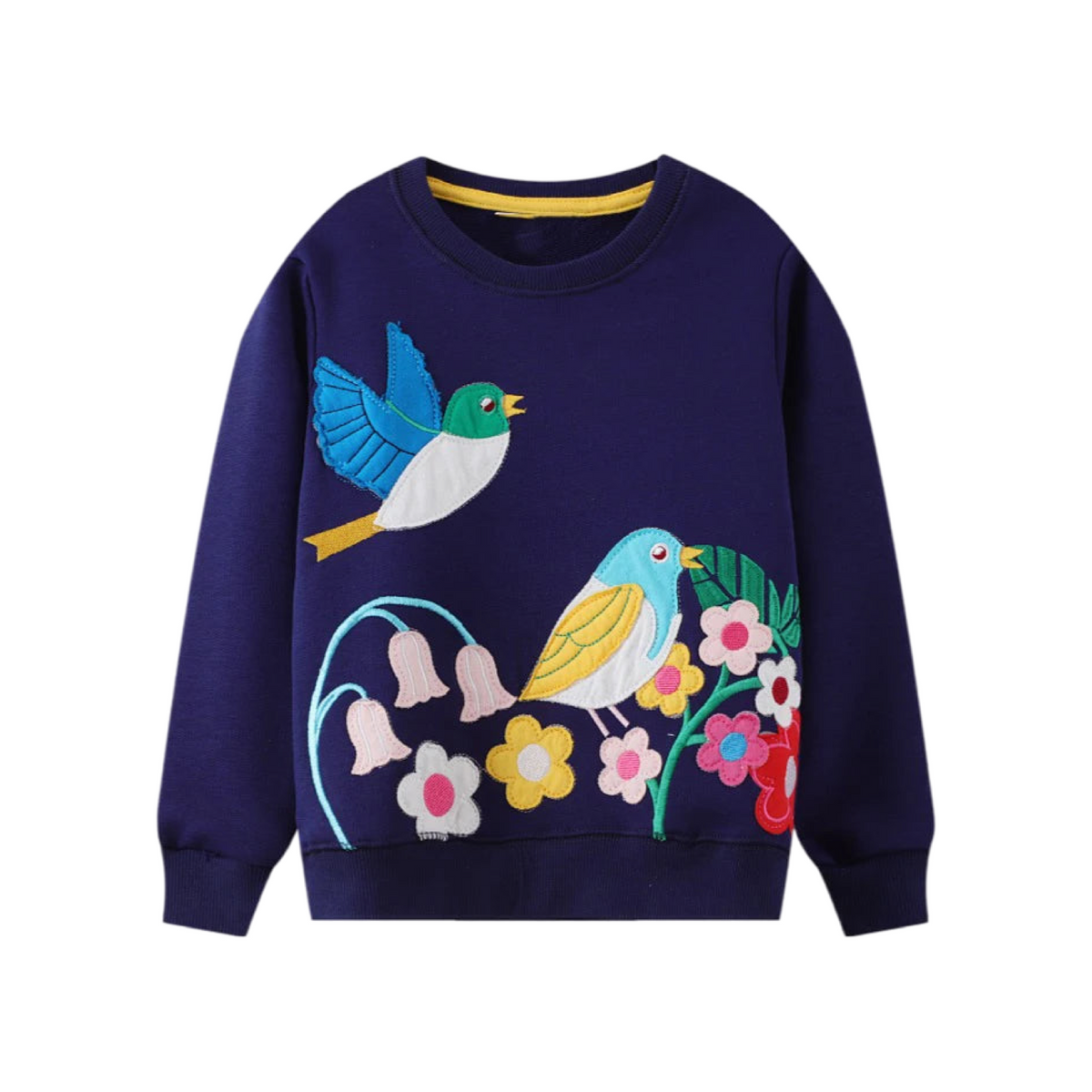 Pretty Birds Jumper  kids clothing YAG Boutique