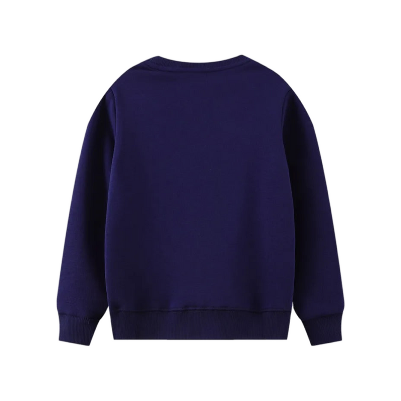 Pretty Birds Jumper  kids clothing YAG Boutique