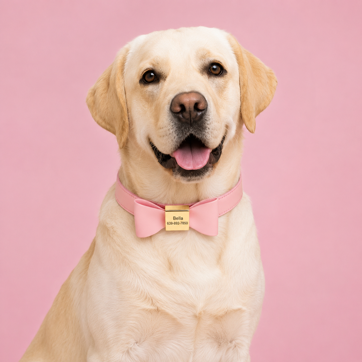 Luxury Personalized PU Leather Dog Collar with Custom Engraved Bow Tie  pet accessories YAG Boutique