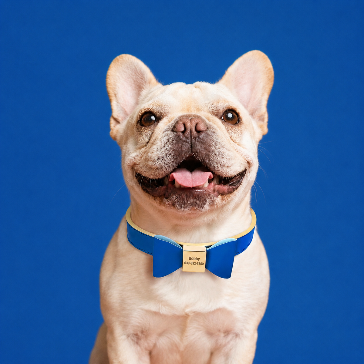 Luxury Personalized PU Leather Dog Collar with Custom Engraved Bow Tie  pet accessories YAG Boutique
