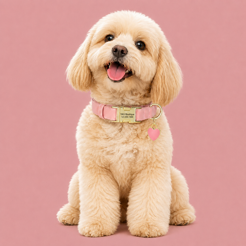 Personalised PU Leather Dog Collar with Engraved Gold Buckle & Matching Heart Tag  pet accessories YAG Boutique