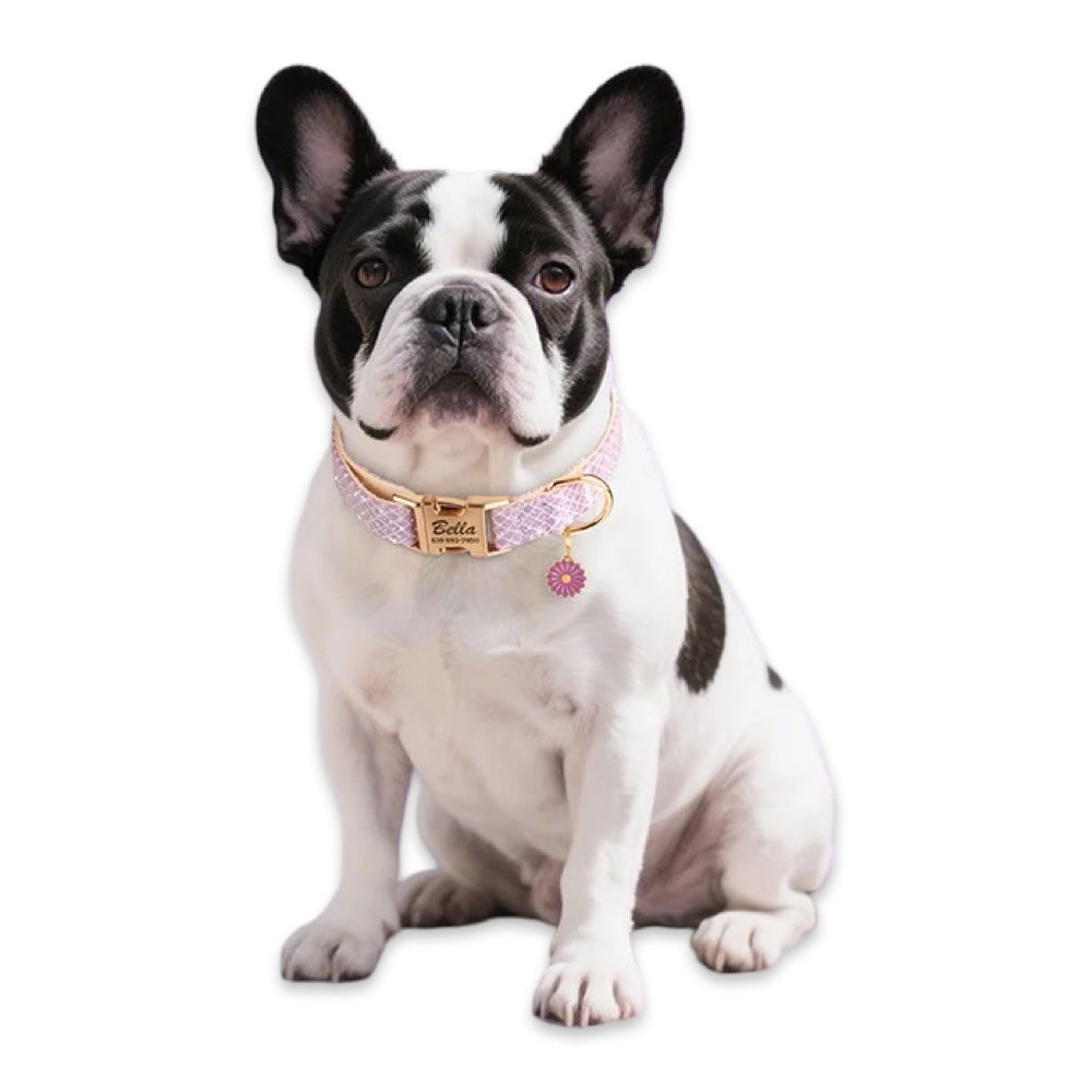 Personalised Floral Dog Collar with Name Tag  pet accessories YAG Boutique