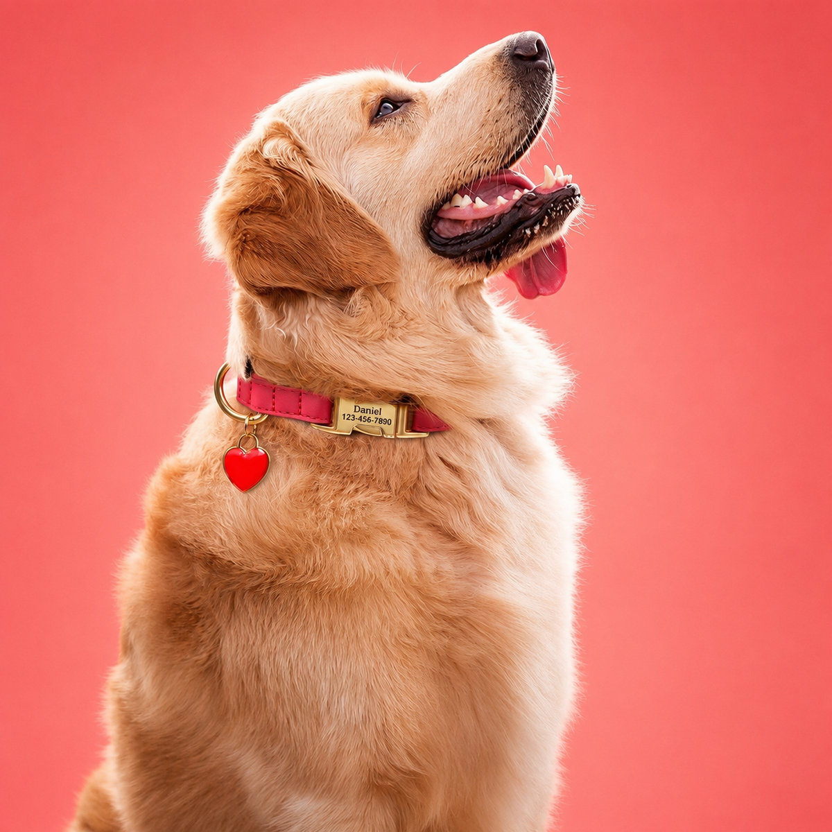 Personalised PU Leather Dog Collar with Engraved Gold Buckle & Matching Heart Tag  pet accessories YAG Boutique