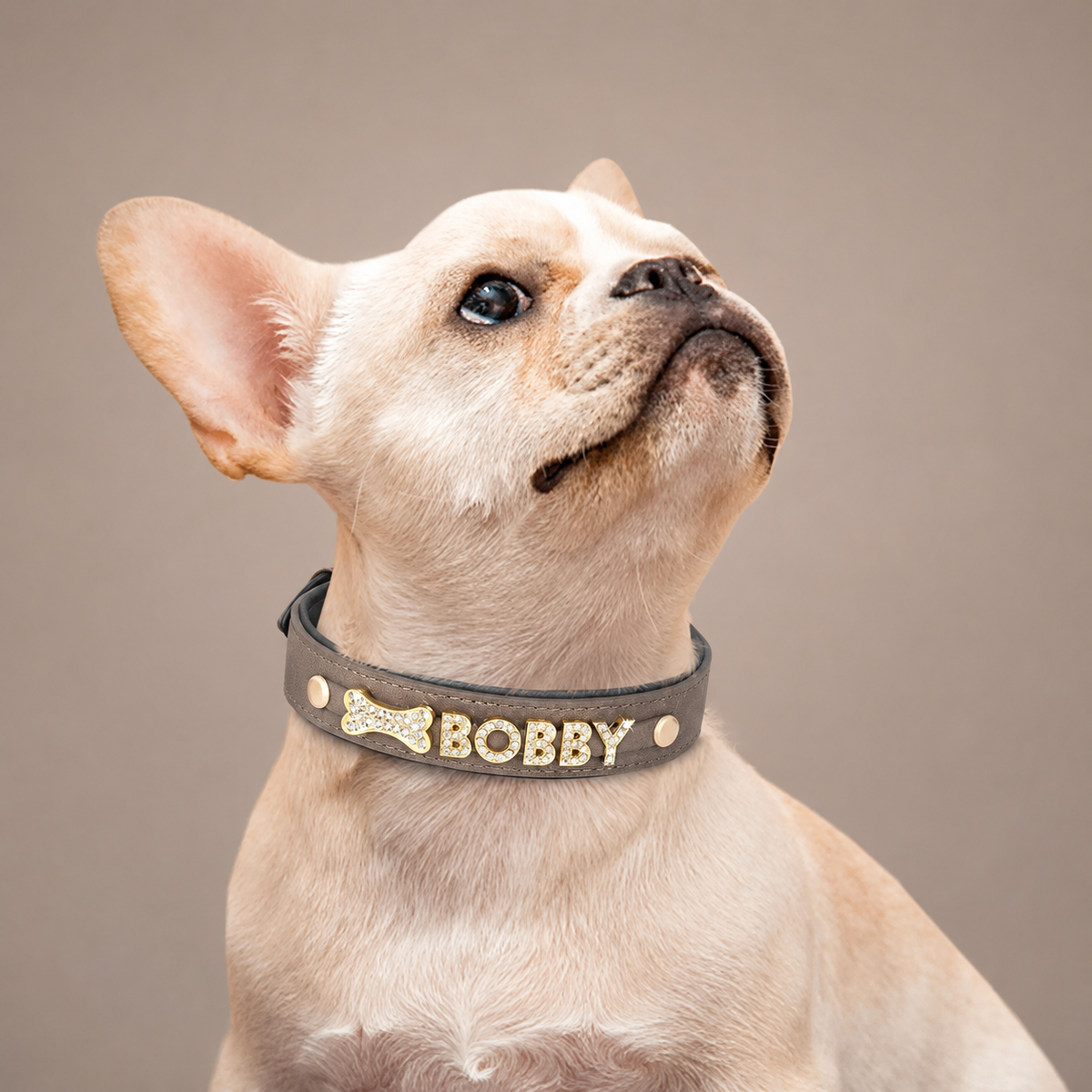 Personalised Soft Suede Rhinestone Dog Collar  pet accessories YAG Boutique